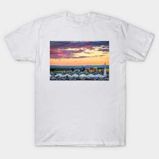 Albuquerque Hot Air Balloon Fiesta T-Shirt